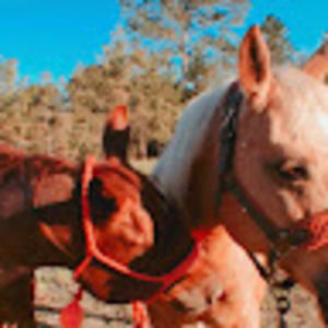 Meet your Posher, Lizzy